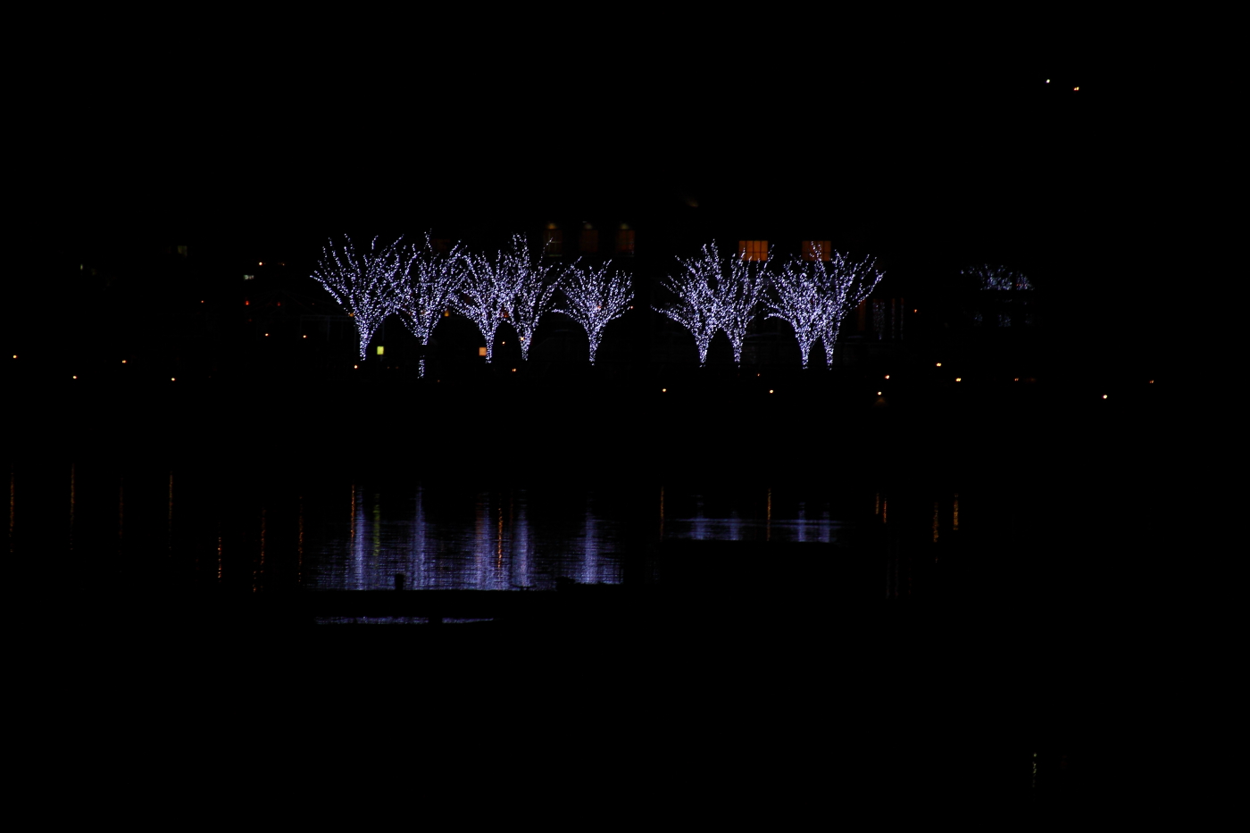2013 01 08 IMG 1078